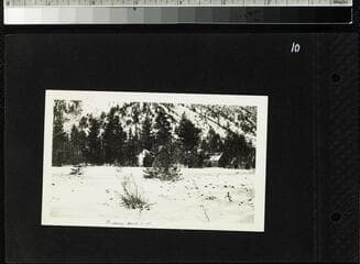Go to image 12.