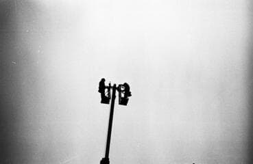 Go to image 13.