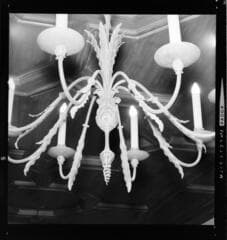 Go to image 7.
