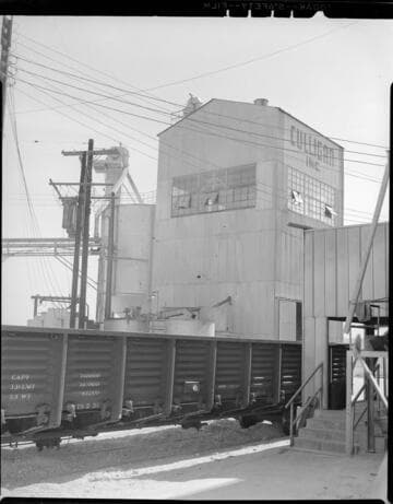 Culligan Zeolite