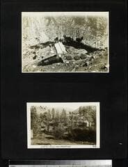Go to image 2.