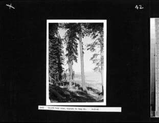 Go to image 45.