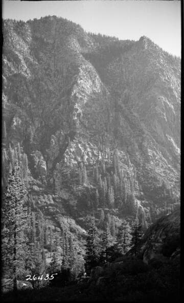 Fish Valley