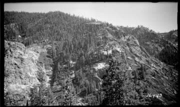 Fish Valley