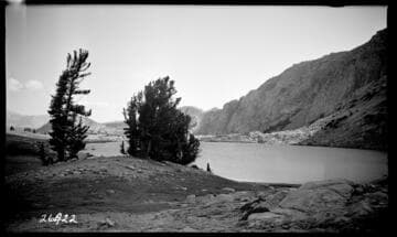 Fish Valley