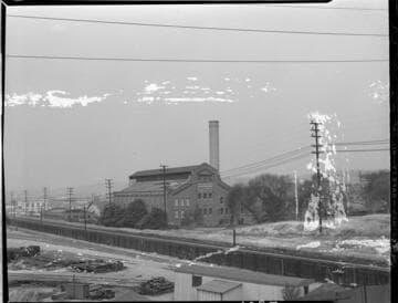 Miscellaneous