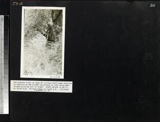 Go to image 58.