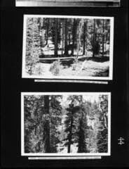 Go to image 45.