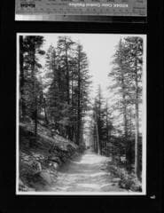 Go to image 9.