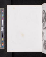 Go to image 623.