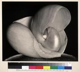 Go to image 2.