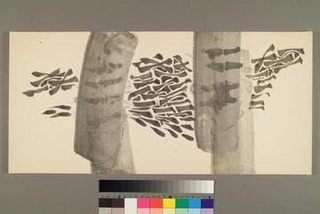 Abstract Forms