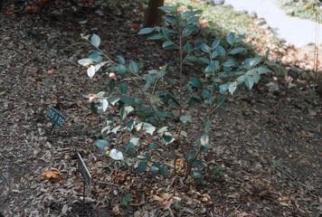 Go to image 3.