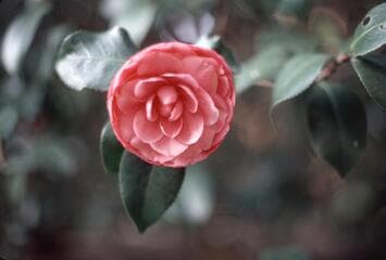 Go to image 3.