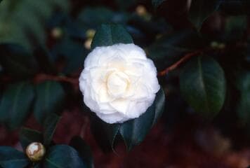 Go to image 3.