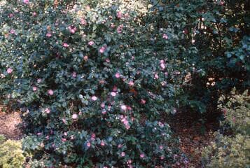 Go to image 7.