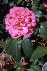 Go to image 4.