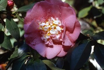 Go to image 4.