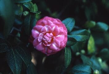 Go to image 6.