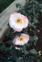 Go to image 3.