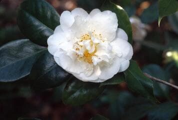 Go to image 2.