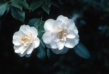 Go to image 6.