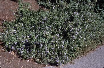 Go to image 3.