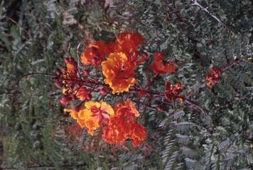 Go to image 14.