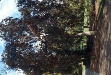 Go to image 9.
