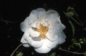 Go to image 2.