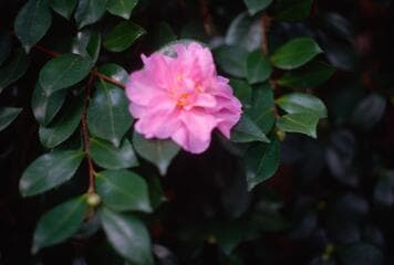 Go to image 5.