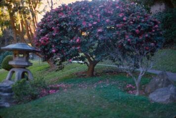 Go to image 3.