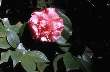 Go to image 3.