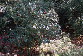 Go to image 3.
