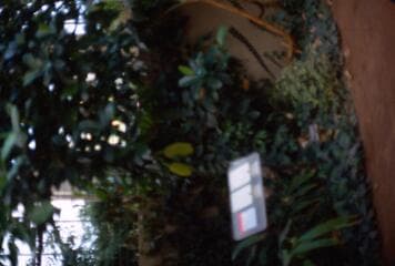 Go to image 16.