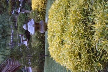 Go to image 4.