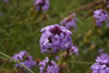 Go to image 8.