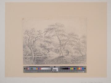 Wooded Landscape