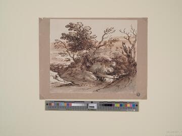 Country Scene