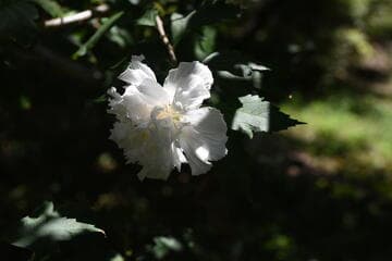 Go to image 2.