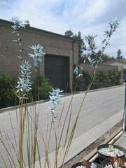 Go to image 2.