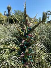 Go to image 19.
