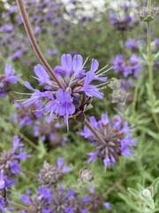 Go to image 9.