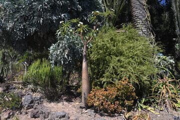 Go to image 3.