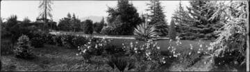 House and garden