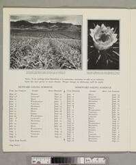 Go to image 12.