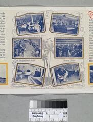 Go to image 4.