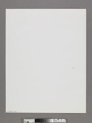 Go to image 2.